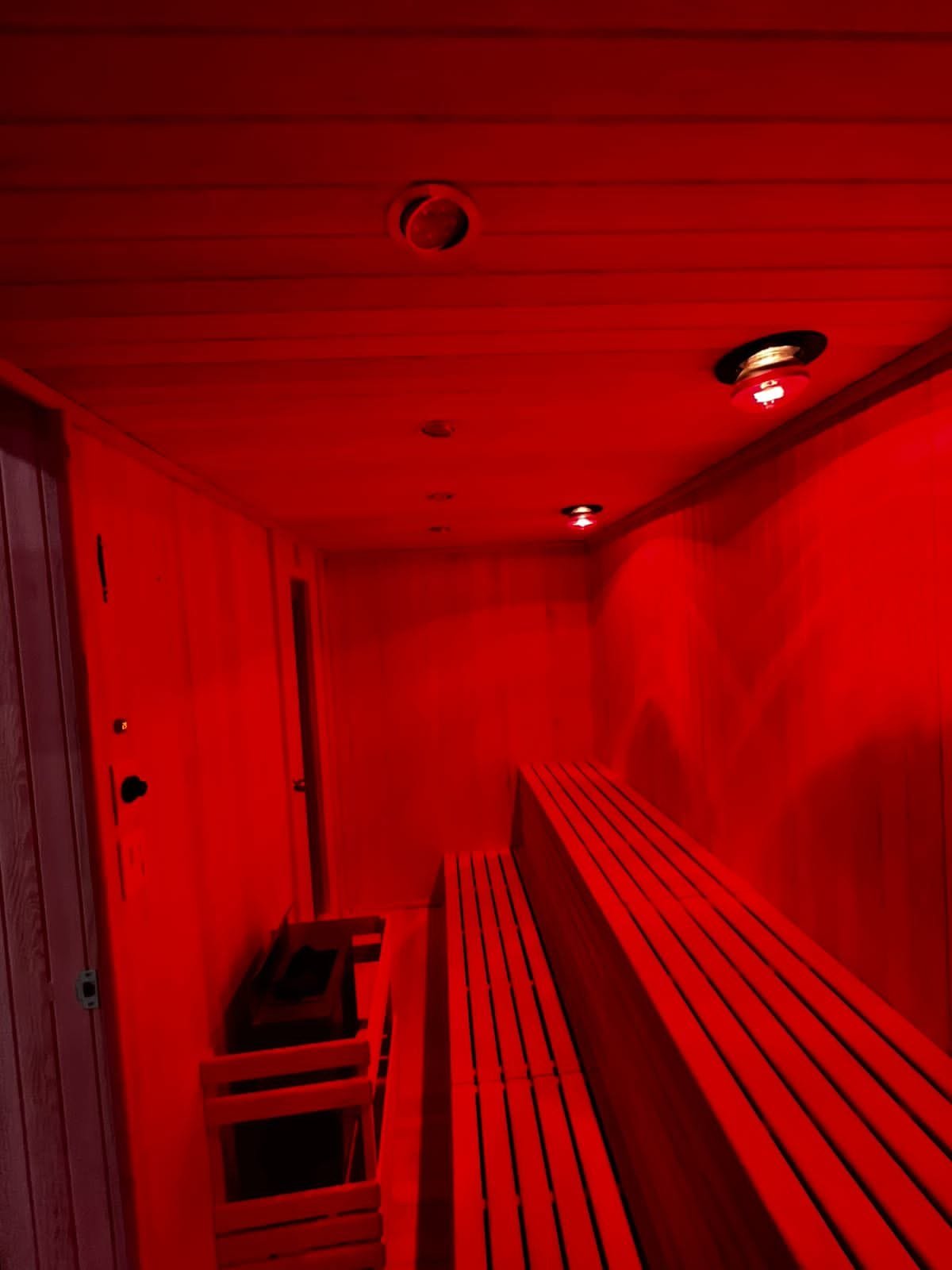 Muffin de frutos rojos con arándanos y frambuesas