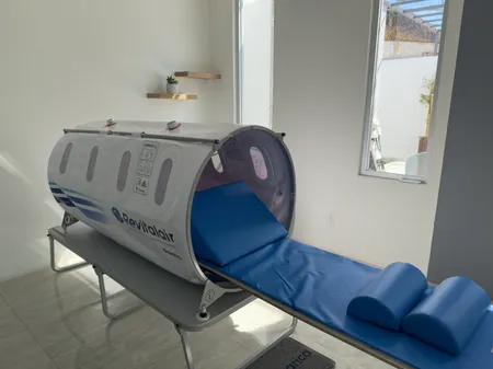 Muffins de Chocolate con Fruta